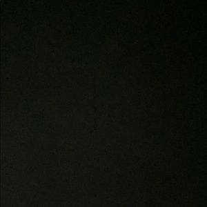 Meet your Posher, Shawn jr.